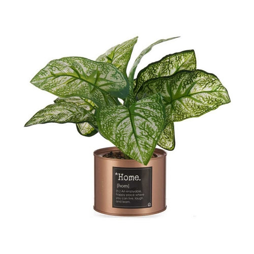 Modern Copper Plant Pot