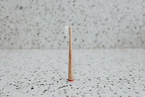 Little Bamboo Kids Toothbrush | BPA-Free Soft Bristles