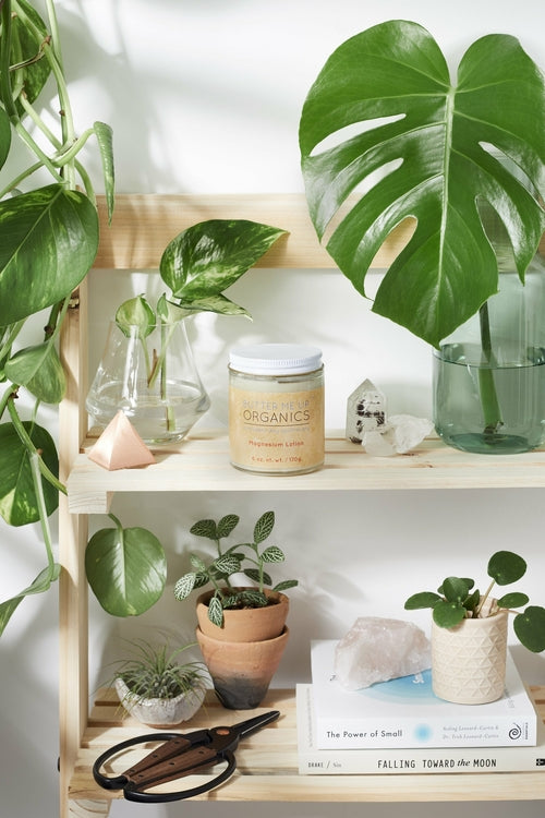 Organic Magnesium Body Lotion