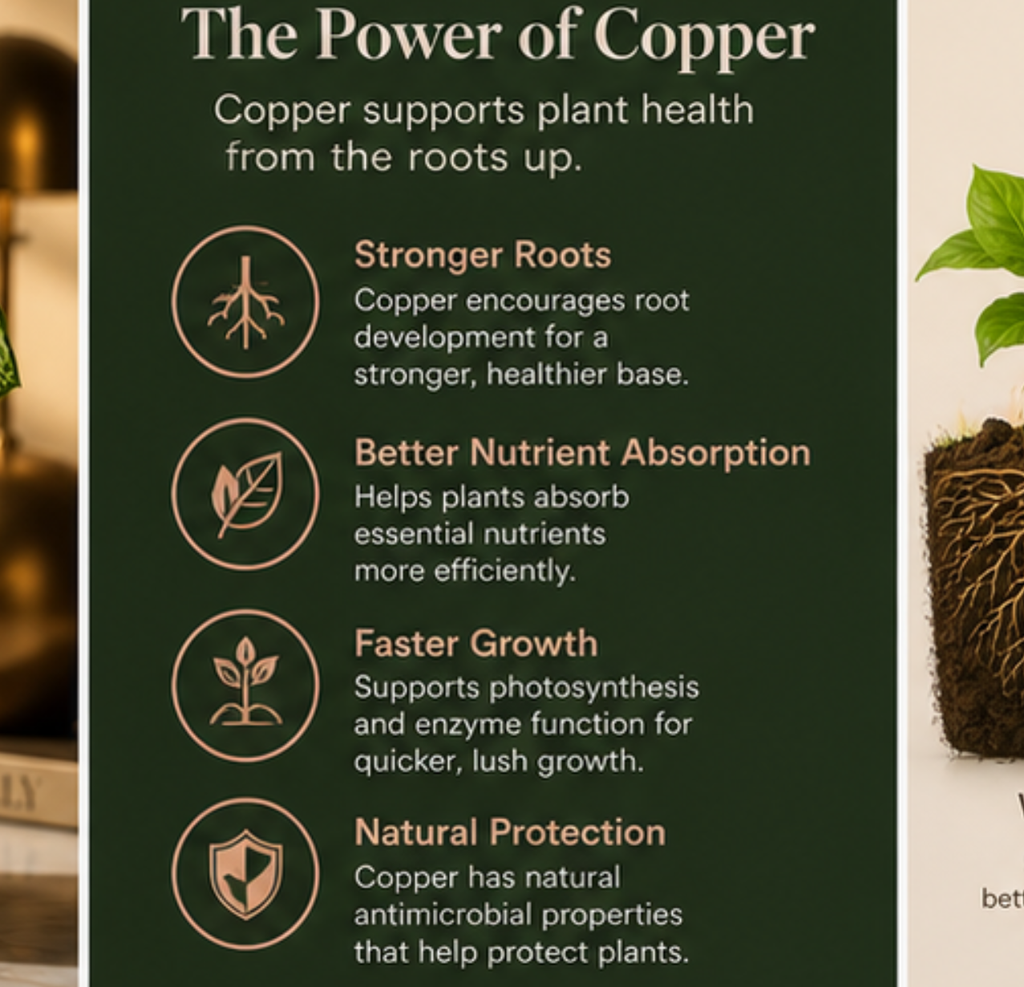 Modern Copper Plant Pot