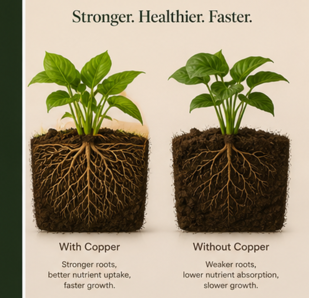 Modern Copper Plant Pot