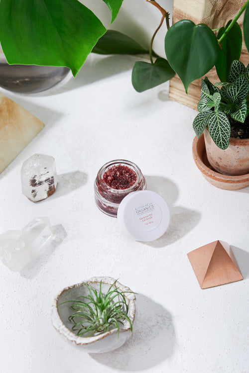 Organic Coconut Lip Scrub | Beetroot + Honey